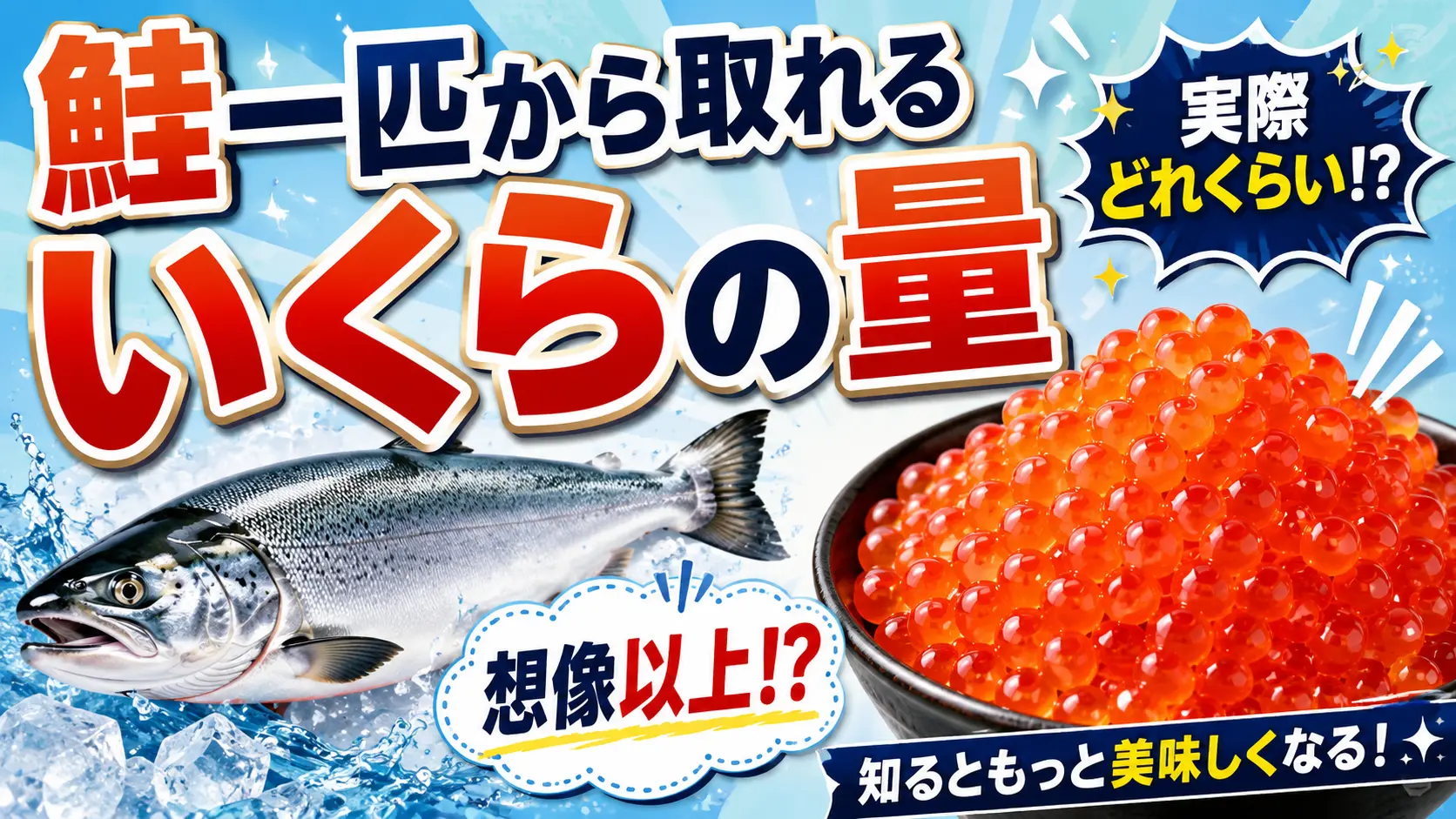 【速報】鮭一匹から取れるいくらの量