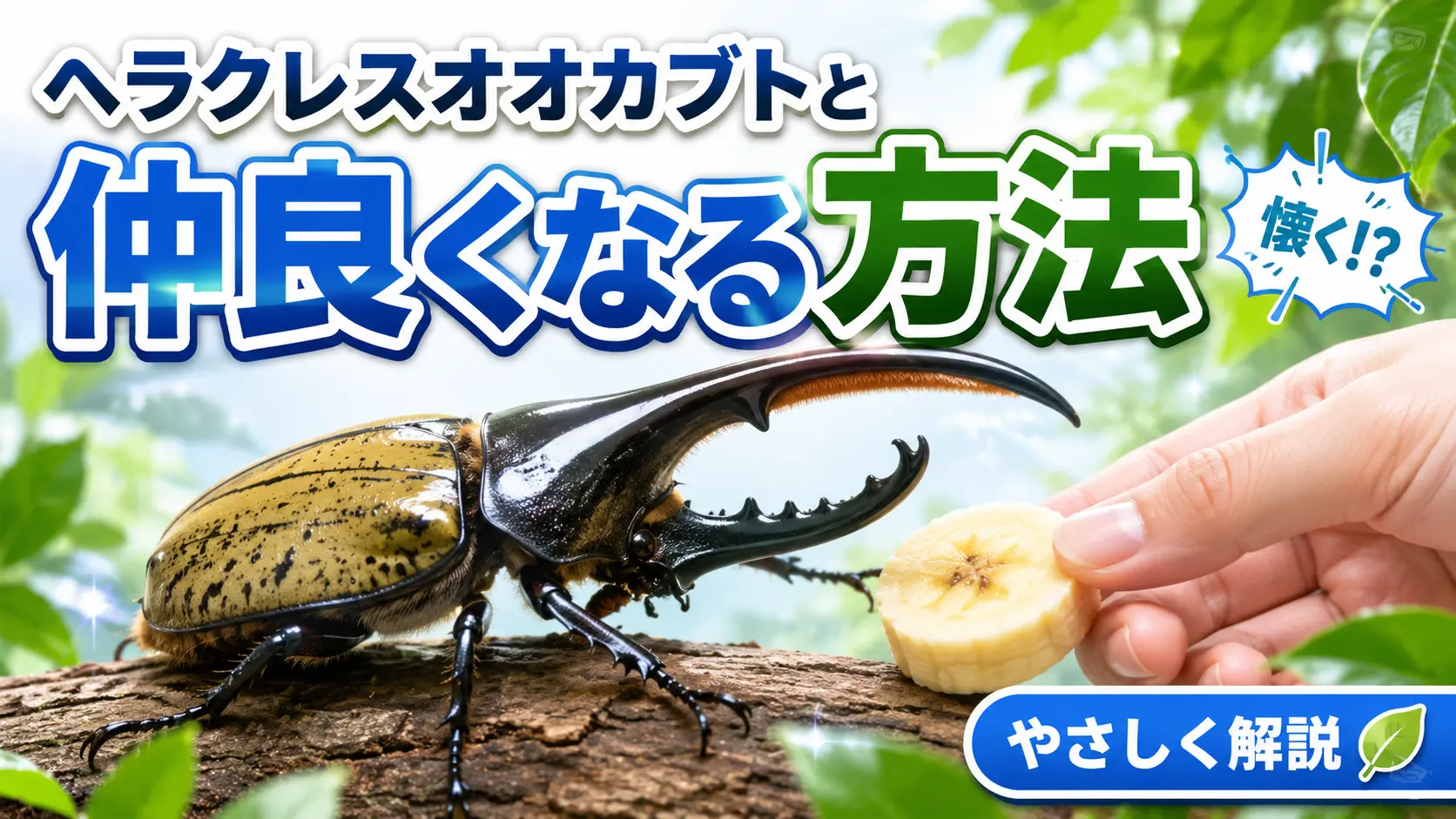【怪奇】ヘラクレスオオカブトと仲良くなる方法
